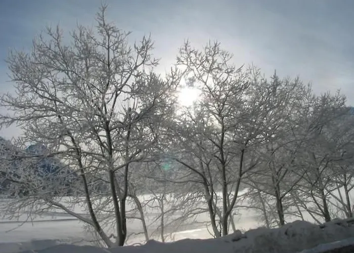 Apartament Chardun By Interhome Celerina/Schlarigna